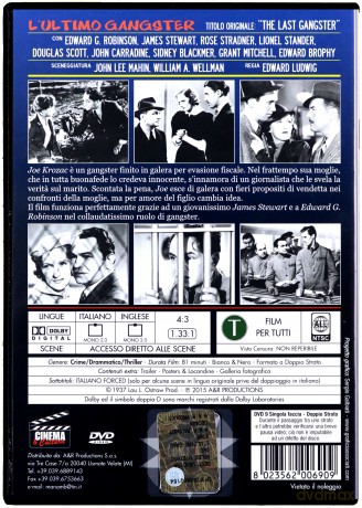 The Last Gangster [DVD]
