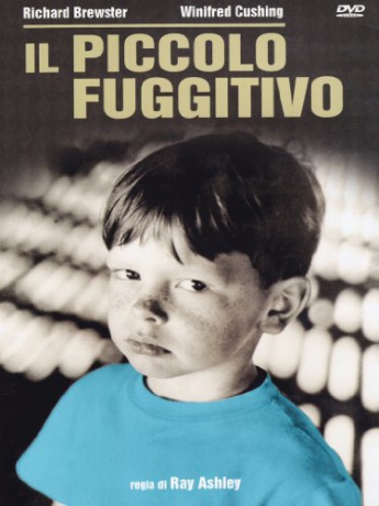 The Little Fugitive (Mały uciekinier) [DVD]