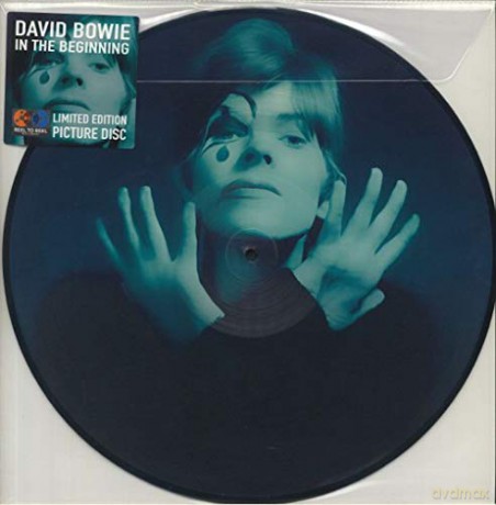 David Bowie: In The Beginning (Picture) [Winyl]