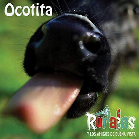 Los Rurales Y Los Amigos De Buenavista: Ocotita [CD]