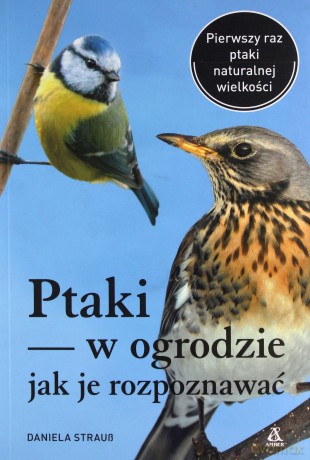 Ptaki w ogrodzie, jak je rozpoznawać - Strauss Daniela [KSIĄŻKA]