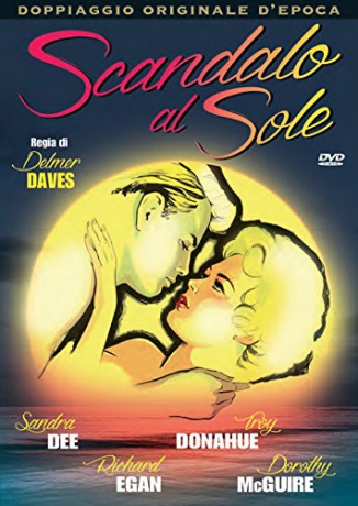 A Summer Place [DVD]