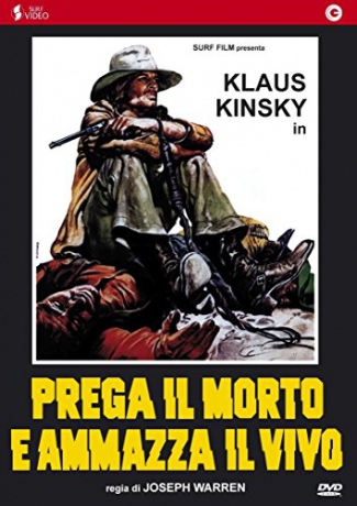 Renegade Gun [DVD]
