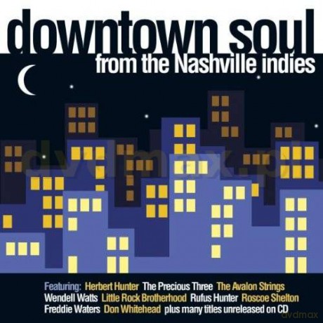 From The Nashville Indies [CD]