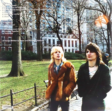 The Lemon Twigs: Songs For The General Public (Limited) [Winyl]