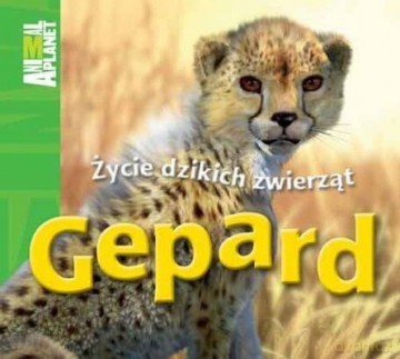 Animal Planet Gepard (twarda) [KSIĄŻKA]