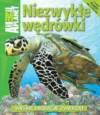 Animal Planet Niezwykłe Wędrówki (twarda) - Dwight Holing [KSIĄŻKA]