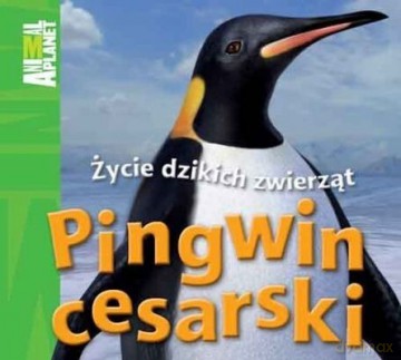 Animal Planet Pingwin Cesarski (twarda) [KSIĄŻKA]