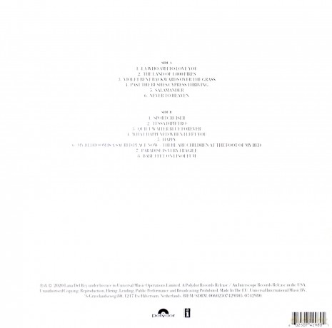 Lana Del Rey: Violet Bent Backwards Over The Grass [Winyl]