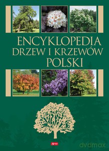 Encyklopedia drzew i krzewów [KSIĄŻKA]