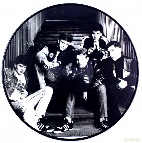 New Kids On The Block: Hangin' Tough (Picture) [Winyl]
