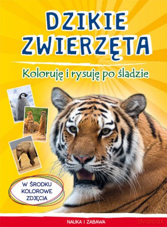 Dzikie zwierzęta Koloruję i rysuję po śladzie - Monika Myślak [KSIĄŻKA]