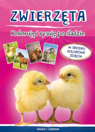 Zwierzęta Koloruję i rysuję po śladzie - Monika Myślak [KSIĄŻKA]