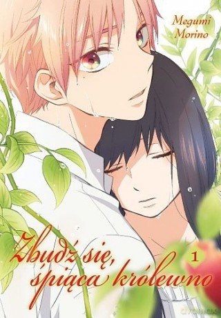 Zbudź się śpiąca królewno (Tom 1) - Megumi Morino [KOMIKS]