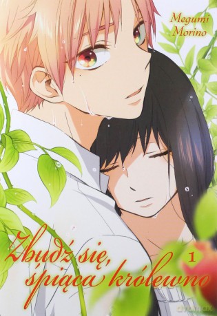 Zbudź się śpiąca królewno (Tom 1) - Megumi Morino [KOMIKS]