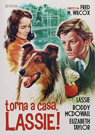 Lassie Come Home (Lassie wróć) [DVD]