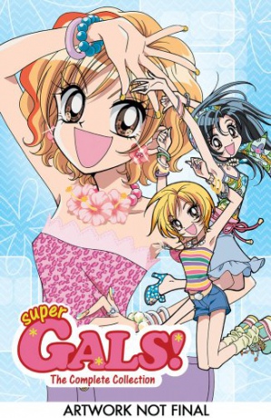 Super Gals!: The Complete Collection - Season 1-2 [DVD]