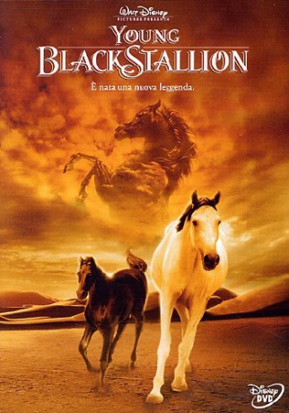 The Young Black Stallion (Czarny rumak) [DVD]