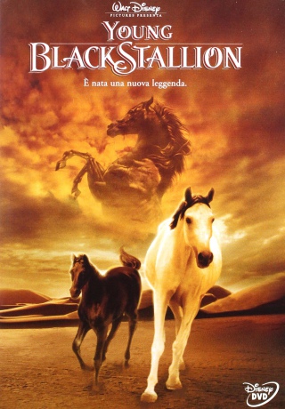 The Young Black Stallion (Czarny rumak) [DVD]