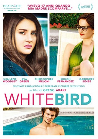 White Bird in a Blizzard (Śnieżny ptak) [DVD]
