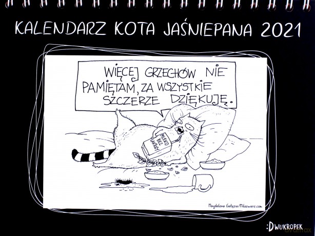 Kalendarz Kota Jaśniepana 2021 biurkowy - Magdalena Gałęzia [KALENDARZ]