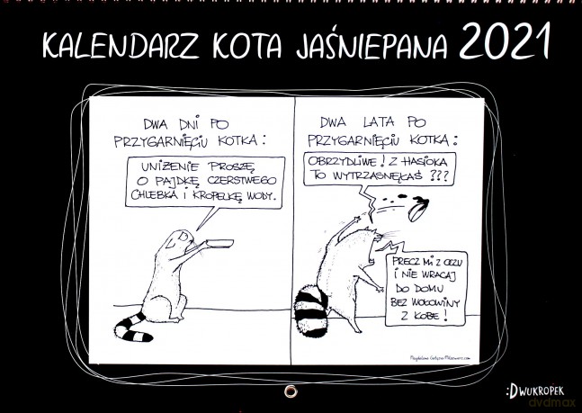 Kalendarz Kota Jaśniepana 2021 ścienny - Magdalena Gałęzia [KALENDARZ]