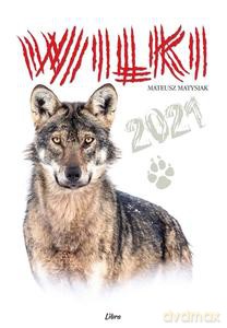 Kalendarz wieloplanszowy 2021. Wilki (wersja biała) - Mateusz Matysiak [KALENDARZ]