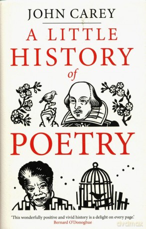A Little History of Poetry - John Carey [KSIĄŻKA]