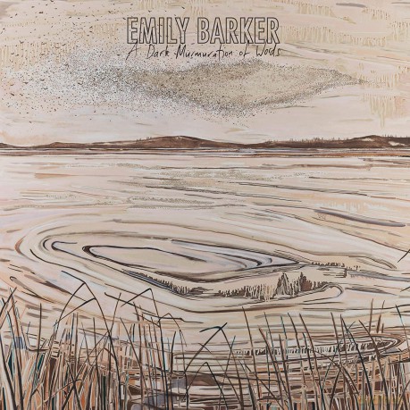 Emily Barker: A Dark Murmuration Of Words [CD]