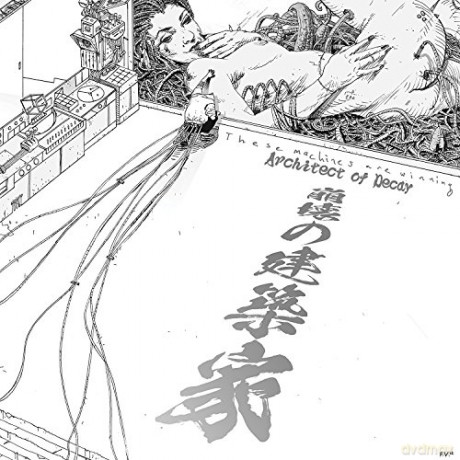 These Machines Are Winning: Architect Of Decay [CD]