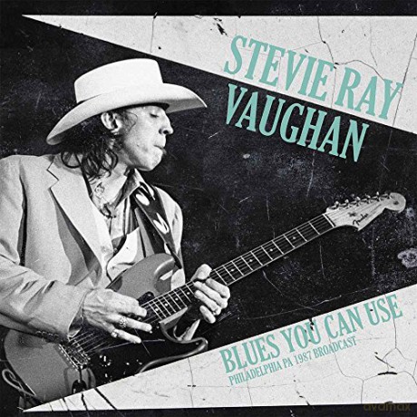 Stevie Ray Vaughan: Blues You Can Use [2xWinyl]