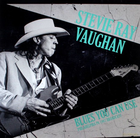 Stevie Ray Vaughan: Blues You Can Use [2xWinyl]