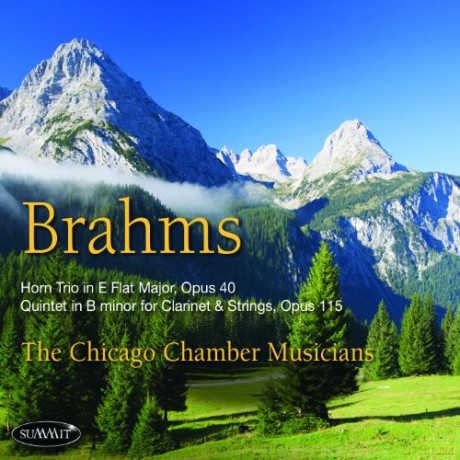 Chicago Chamber Musicians: Brahms [CD]