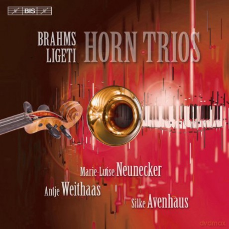 Nueneckerweithaasavenhaus: Brahmsligetihorn Trios [CD]