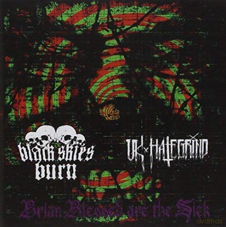 Black Skies Burn/Uk Hate Grind: Brian Blessed Are The Sick [CD]