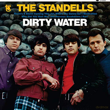 Standells: Dirty Water (Gold) [Winyl]