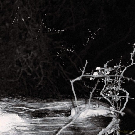 Liar. Flower: Geiger Counter [CD]
