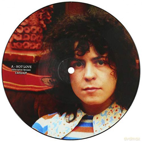 T. Rex: Hot Love (Picture) [Winyl]