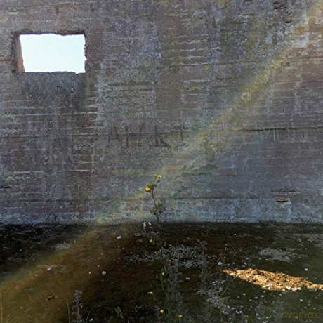 Desperate Journalist: In Search Of The Miraculous [Winyl]