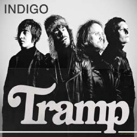 Tramp: Indigo [Winyl]
