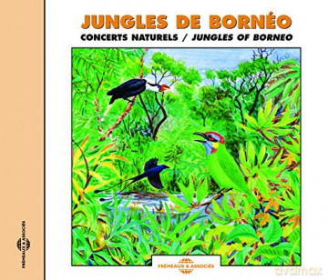 Jungles De Borneo - Concerts Naturels: Jungles Of Borneo [CD]