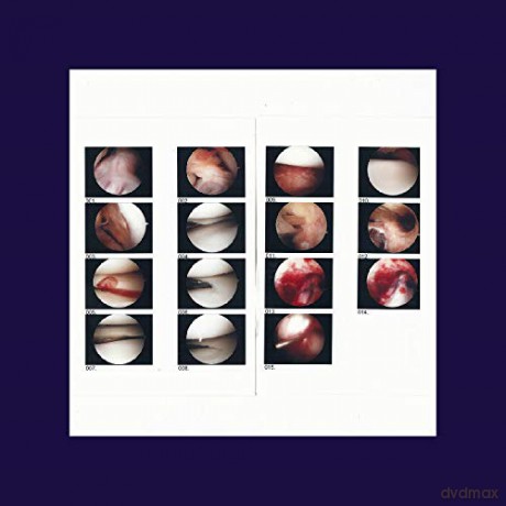 Cradle: Laughing In My Sleep [CD]