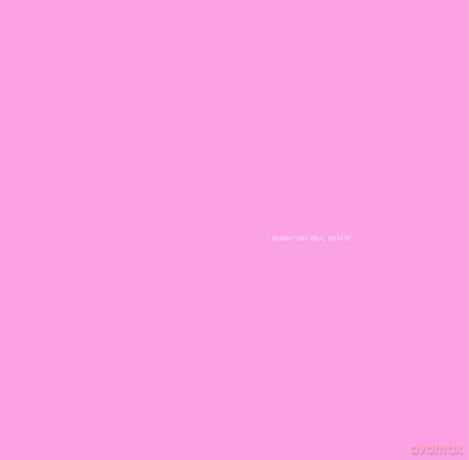 Sunny Day Real Estate: Lp2 [Winyl]