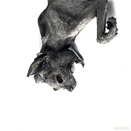 Nordvargr: Metempsychosis [CD]