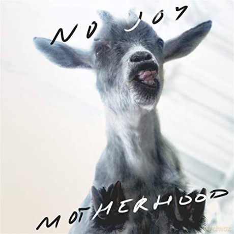 No Joy: Motherhood [CD]