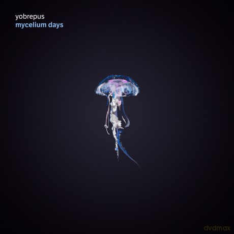 Yobrepus: Mycelium Days [CD]