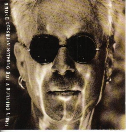 Bruce Cockburn: Nothing But A Burning Light [CD]