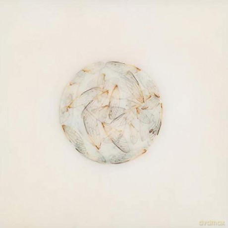 Lotte Kestner: Off White [CD]
