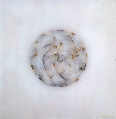 Lotte Kestner: Off White [CD]