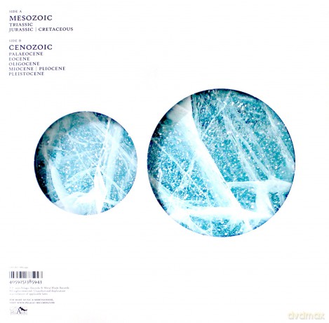 The Ocean: Phanerozoic II Mesozoic Cenozoic [Winyl]